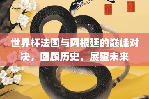 世界杯法国与阿根眉山市正发家政服务有限公司廷的巅峰对决，回顾历史，展望未来