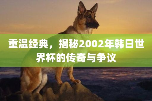 重温经典，揭秘2002年韩日世界杯的传奇与争议
