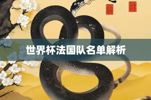 世界眉山市正发家政服务有限公司杯法国队名单解析