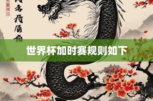 世界杯加时赛规则如下眉山市正发家政服务有限公司