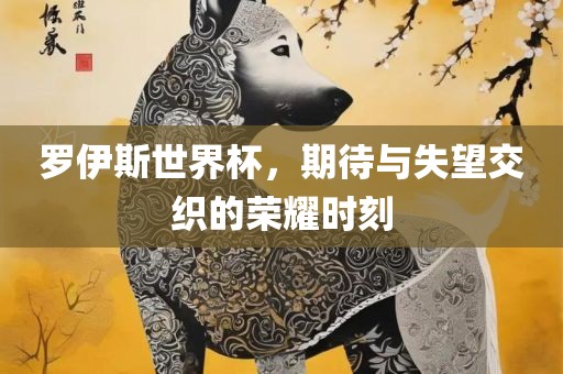 罗伊斯世界杯，期待与失望交织的荣耀时刻