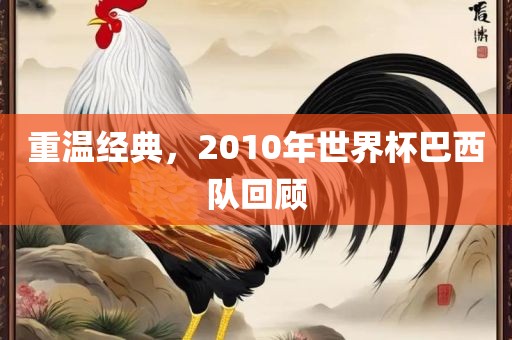 重温经典，2010年世界杯巴西队回顾