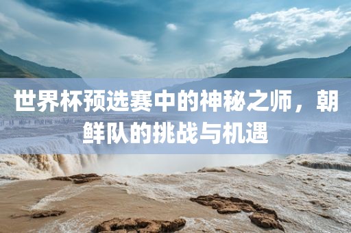 世界杯预选赛中的神秘之师，朝鲜眉山市正发家政服务有限公司队的挑战与机遇