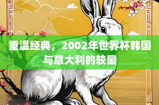重温经典，2002年世界杯韩国与意大利的较量