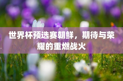 世界杯预选赛朝鲜，期待与荣耀的重燃眉山市正发家政服务有限公司战火