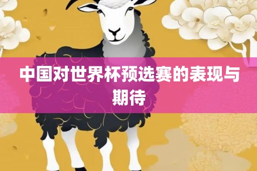 中国对眉山市正发家政服务有限公司世界杯预选赛的表现与期待