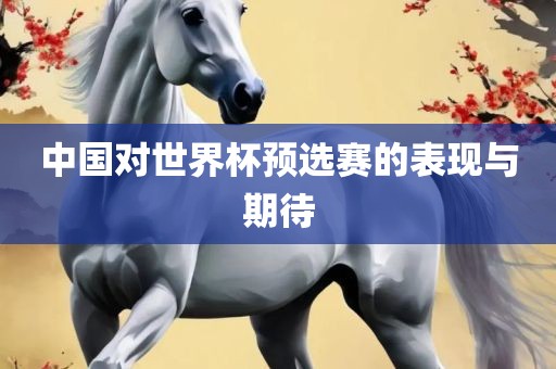 中国对世界杯预选赛的表现与期待眉山市正发家政服务有限公司