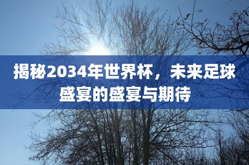 揭秘2034年世界杯，未来足球盛宴的盛宴与期待