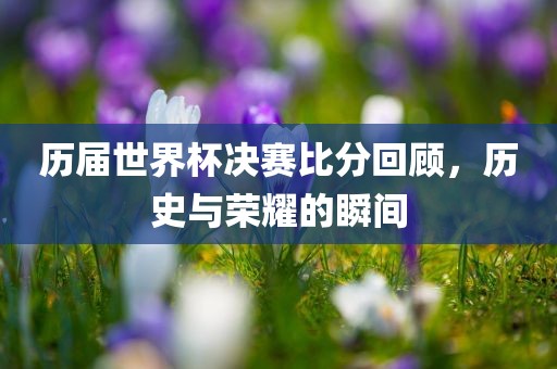 历届世界杯决赛比分回顾，历史与荣耀的瞬间眉山市正发家政服务有限公司