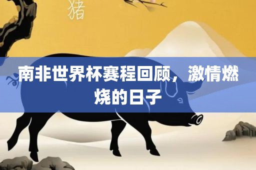 南非世界杯赛程回顾，激情燃烧的日子
