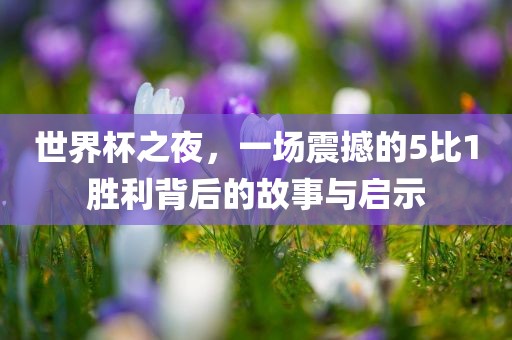 世界杯之夜，一场震撼的5比1胜利背后的故事与启示眉山市正发家政服务有限公司