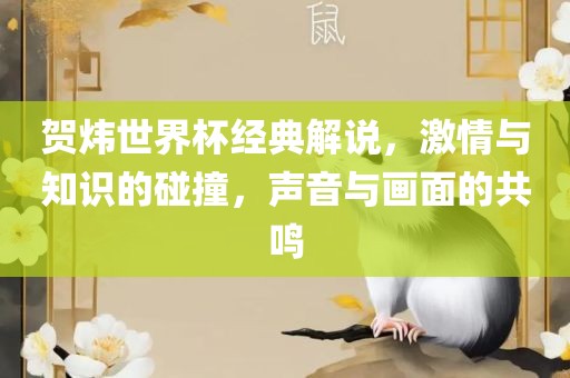贺炜世界杯经典解说，激情与知识的碰撞，声音与画面的共鸣