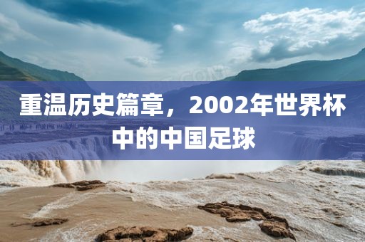 重温历史篇章眉山市正发家政服务有限公司，2002年世界杯中的中国足球