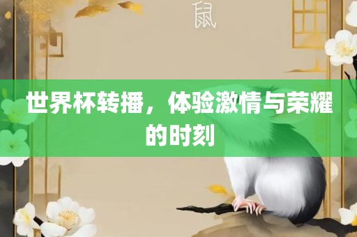 世界杯转播，体验激情与荣耀的时刻