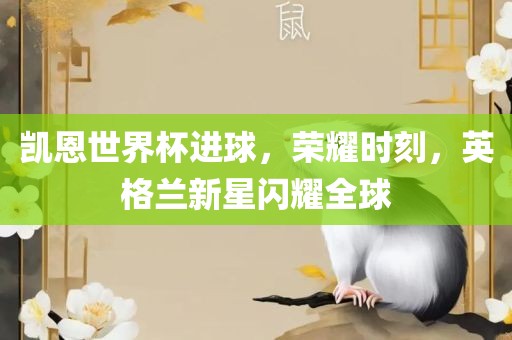 凯恩世界杯进球，荣耀时刻，英格兰新星闪耀全球眉山市正发家政服务有限公司