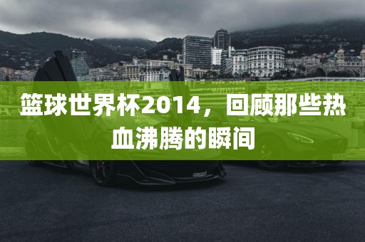 篮球世界杯2014，回顾那些热血沸腾的瞬间眉山市正发家政服务有限公司