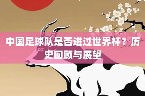 中国足球队是否进过世界杯？历史回顾与展望眉山市正发家政服务有限公司