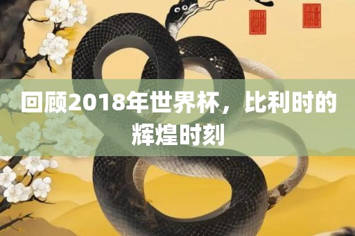 回顾2018年世界杯，比利时的辉煌时刻眉山市正发家政服务有限公司