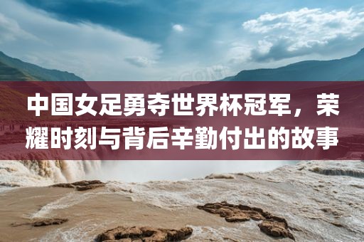中国女足勇夺世界杯冠军，荣耀时刻与背后辛勤付出的故事眉山市正发家政服务有限公司
