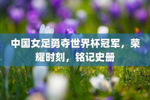 中国女足勇夺世界杯冠军，荣耀时刻，铭记史册眉山市正发家政服务有限公司