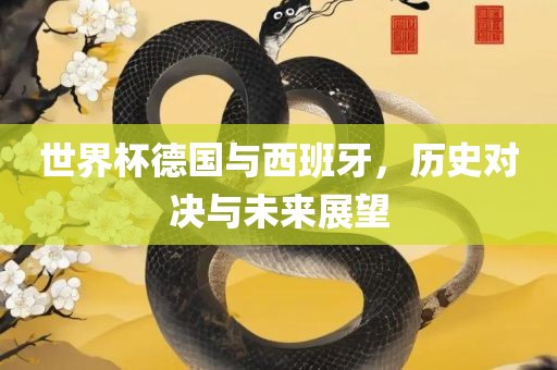 世界杯德国与西班牙，历史对决与未来展望眉山市正发家政服务有限公司