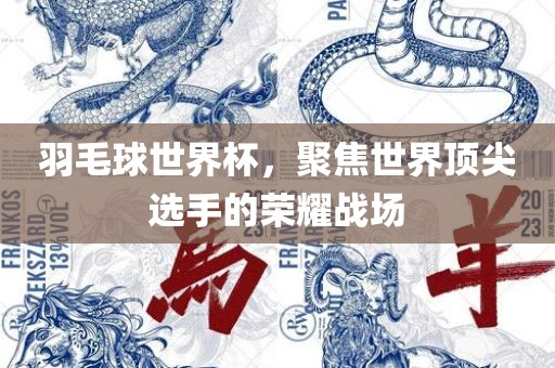 羽毛球世界杯，聚焦世界顶尖选手的荣耀战场