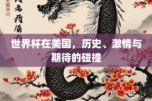 世界杯在美国，历史、激情与期待的碰撞