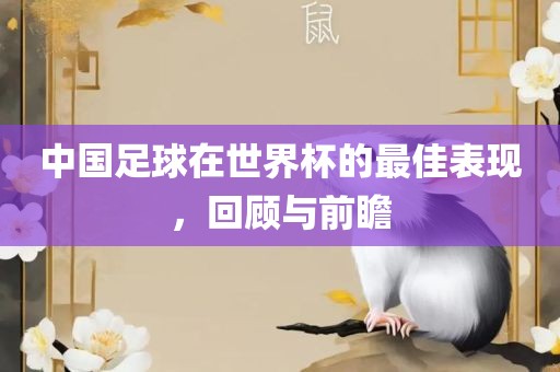 中国足球在世界杯的最佳表现，回顾与眉山市正发家政服务有限公司前瞻