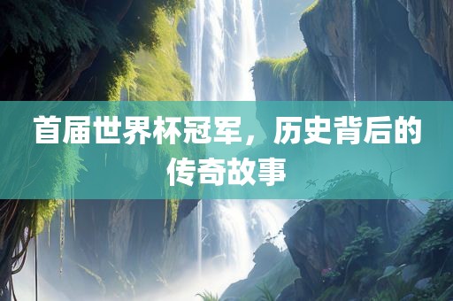 首届世界杯冠军，历史背后的传奇故事眉山市正发家政服务有限公司