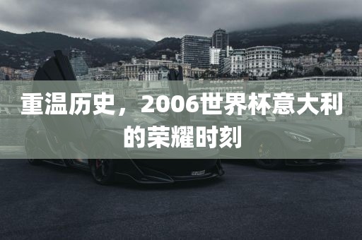 重温历史，2006世界杯意大利的荣耀时刻眉山市正发家政服务有限公司
