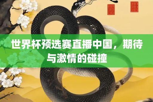 世界杯预选赛直播中国，期待与激情的碰撞