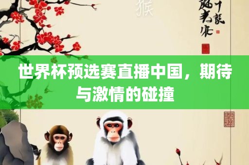 世界杯预选赛直播中国，期待与激情的碰撞