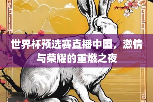世界杯预选赛直播中国，激情与荣耀的重燃之夜