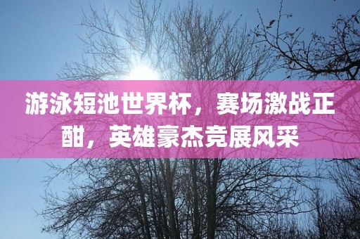 游泳短池世界杯，赛场激战正酣，英雄豪杰竞展风采眉山市正发家政服务有限公司