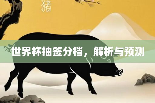 世界杯抽签分档，解析与预测