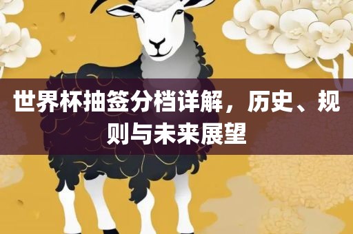 世界杯抽签分档详解，历史、规则与未来展望