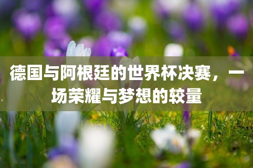 德国与阿根廷的世界杯决赛，一场荣耀与梦想的较量眉山市正发家政服务有限公司