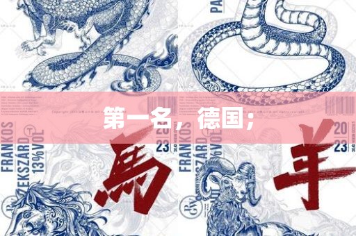 第一名，德国；眉山市正发家政服务有限公司