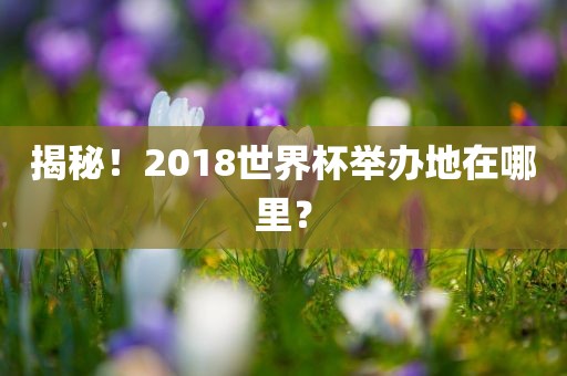 揭秘！2018世界杯举办地在哪里？