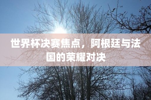 世界杯决赛焦点，阿根廷与法国的荣耀对决眉山市正发家政服务有限公司