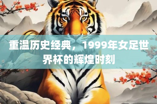 重温历史经典，1999年女足世界杯的辉煌时刻