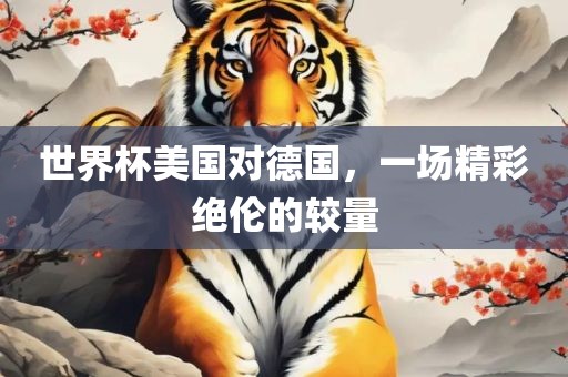美国 vs 德国对决