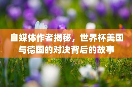 美国与德国对决