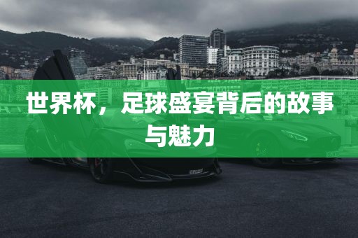 世界杯，足球盛宴背后的故事与魅力眉山市正发家政服务有限公司