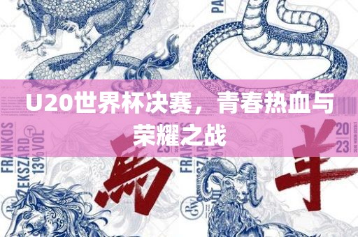 U20世界杯决赛，青春热血与荣耀之战