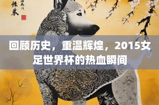 回顾历史，重温辉煌，2015女足世界杯的热血瞬间眉山市正发家政服务有限公司