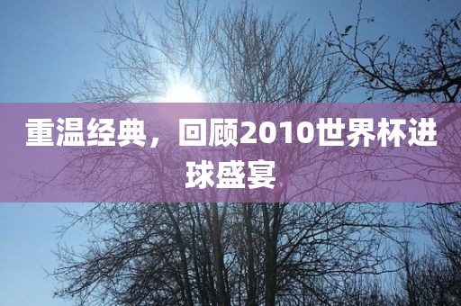 重温经典，回顾2010世界杯进球盛宴