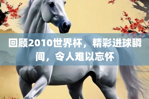 回顾2010世界杯，精彩进球瞬间，令人难以忘怀