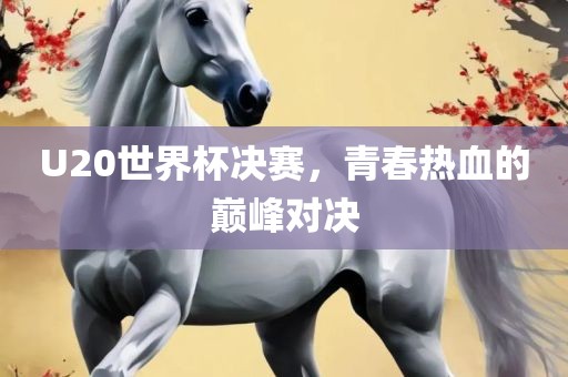 U20世界杯决赛，青春热血的巅峰对决