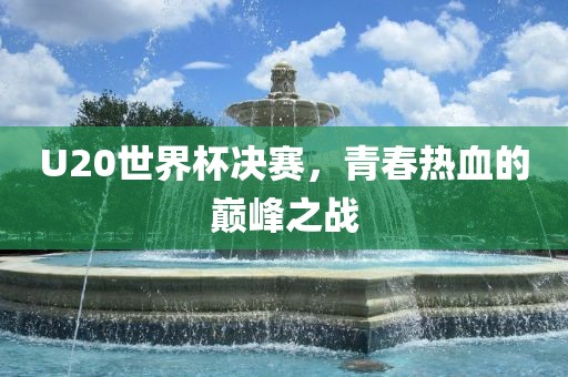 U20世眉山市正发家政服务有限公司界杯决赛，青春热血的巅峰之战